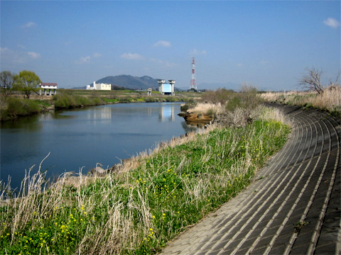 渡良瀬川の画像