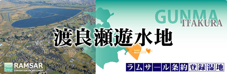渡良瀬遊水地