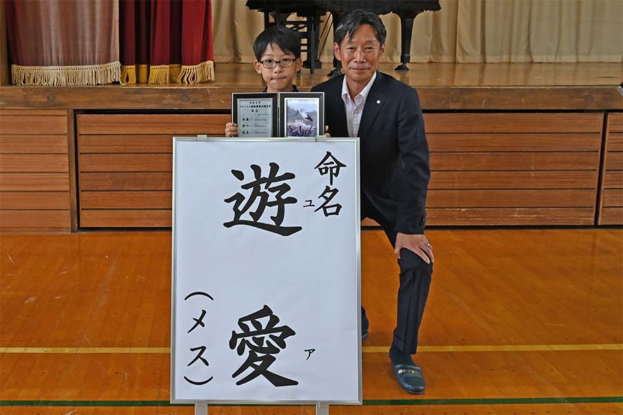 の画像