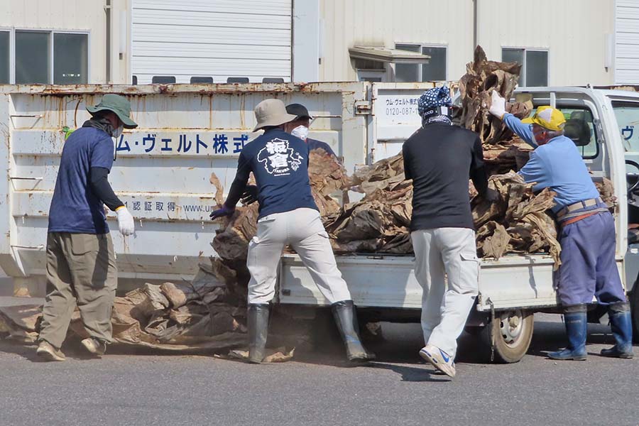 の画像