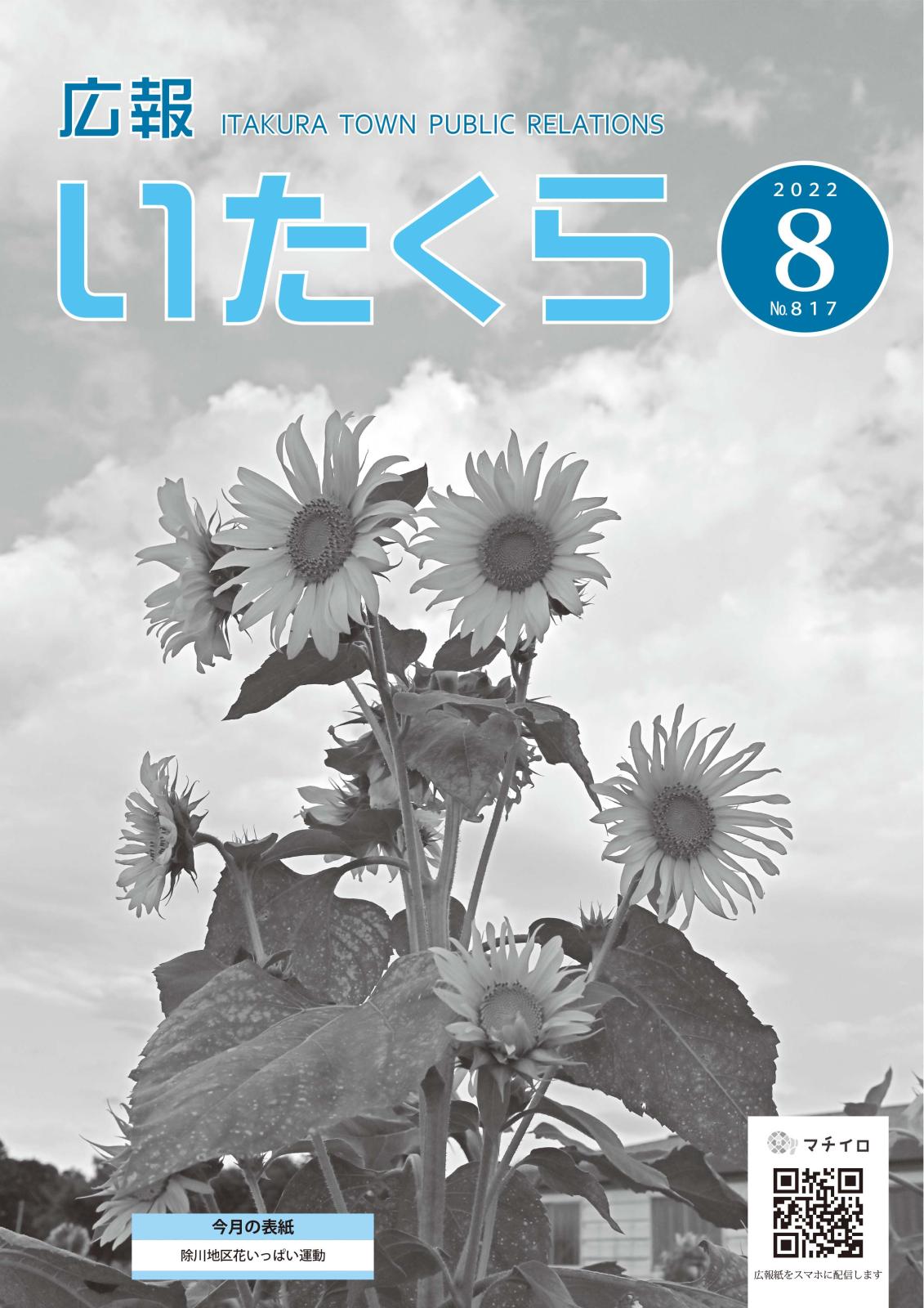 広報いたくら 2022年8月号（No.817）の画像