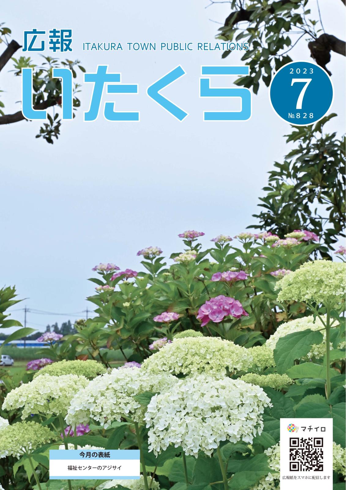 広報いたくら 2023年7月号（No.828）の画像