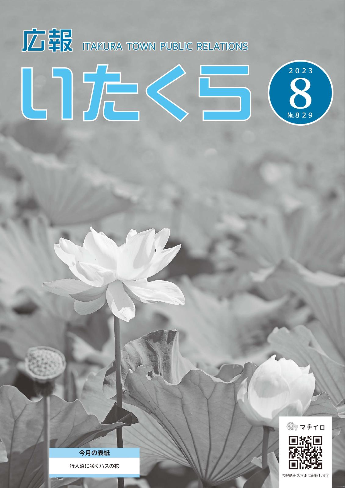 広報いたくら 2023年8月号（No.829）の画像