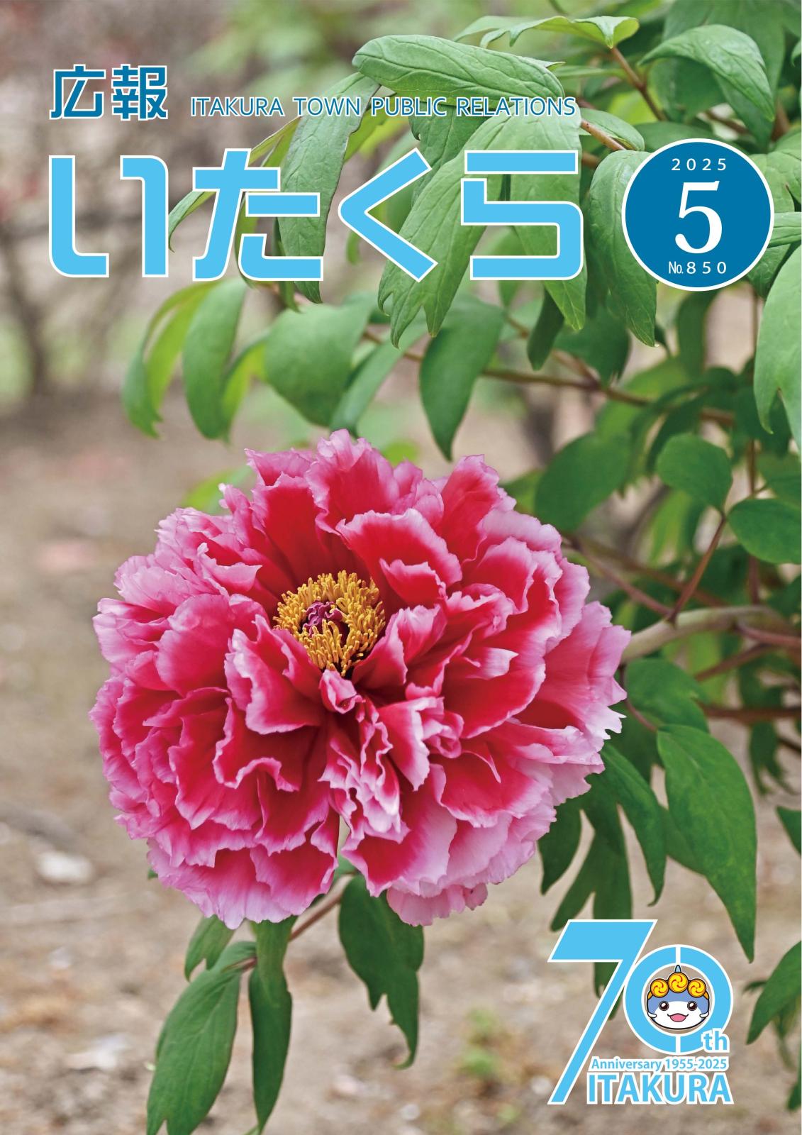 2025年5月号(No.850)の画像