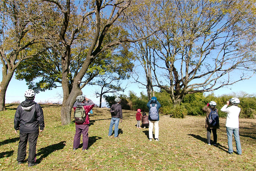20241207_03（野鳥観察）.jpg