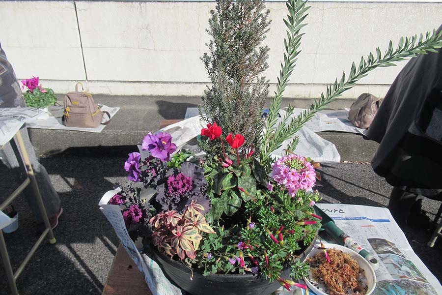 20241214_03（冬を楽しむ寄せ植え教室）