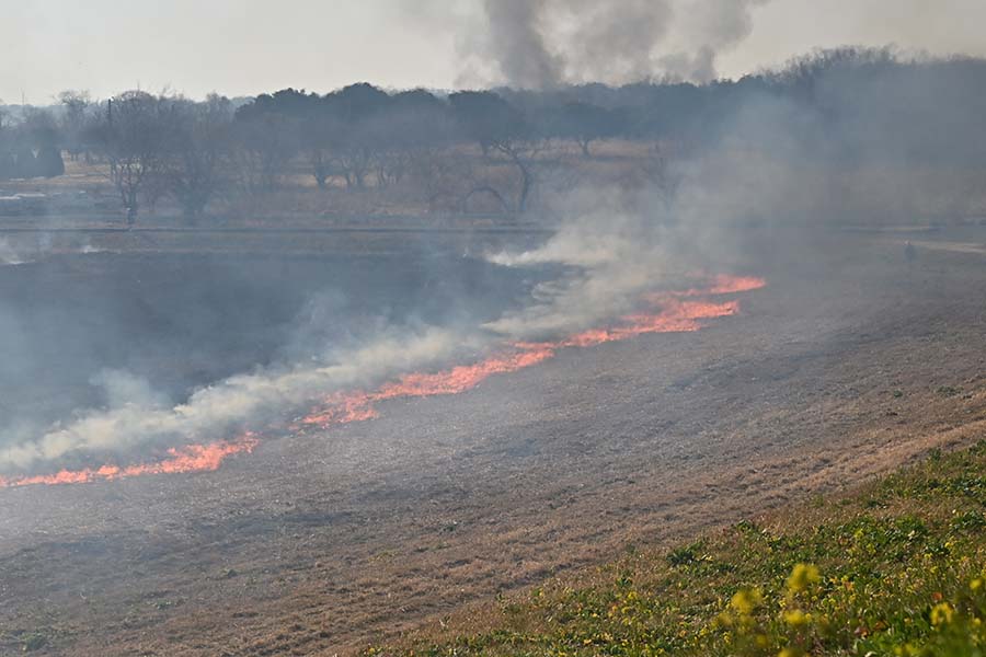 20250301_01（ヨシ焼き）