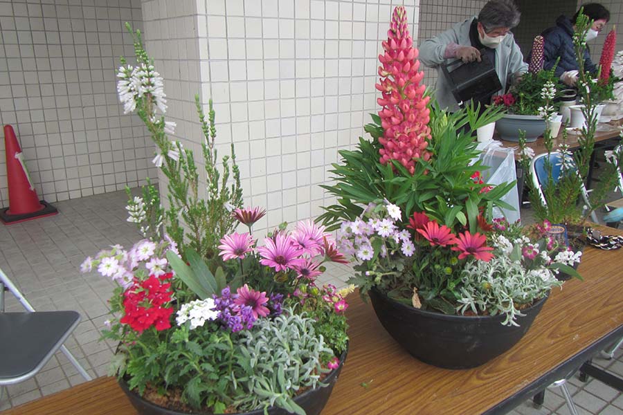 20250311_02（春の寄せ植え教室）