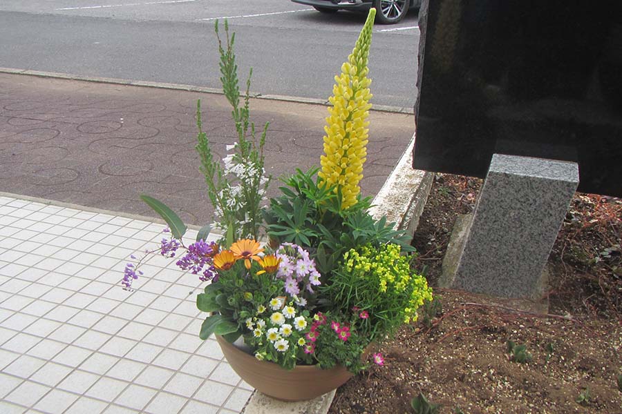 20250311_03（春の寄せ植え教室）