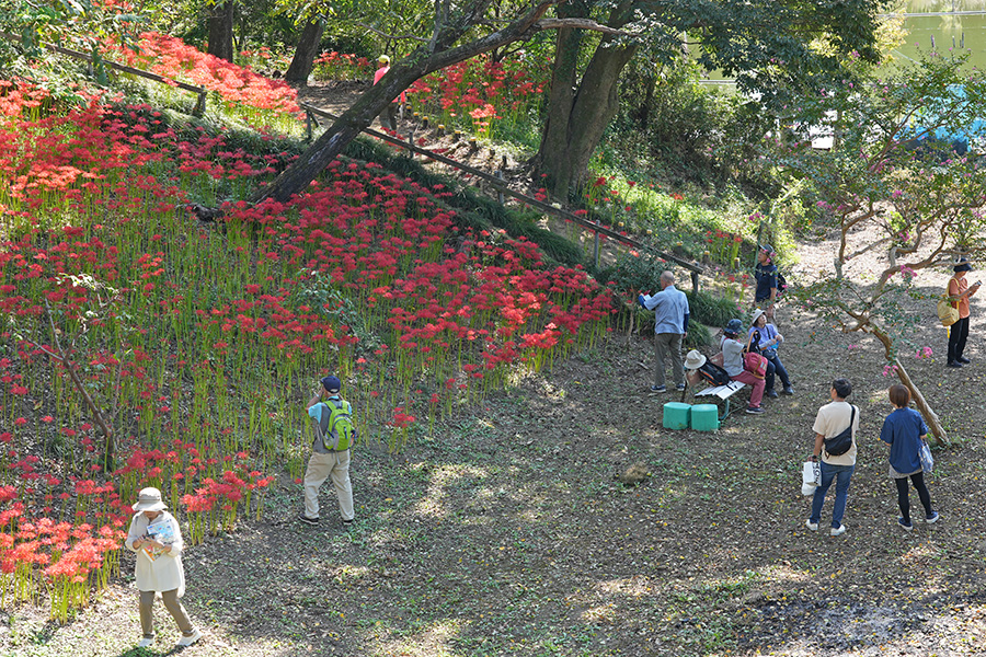 いたくらトピックス(20250927_東武健康ハイキング)03