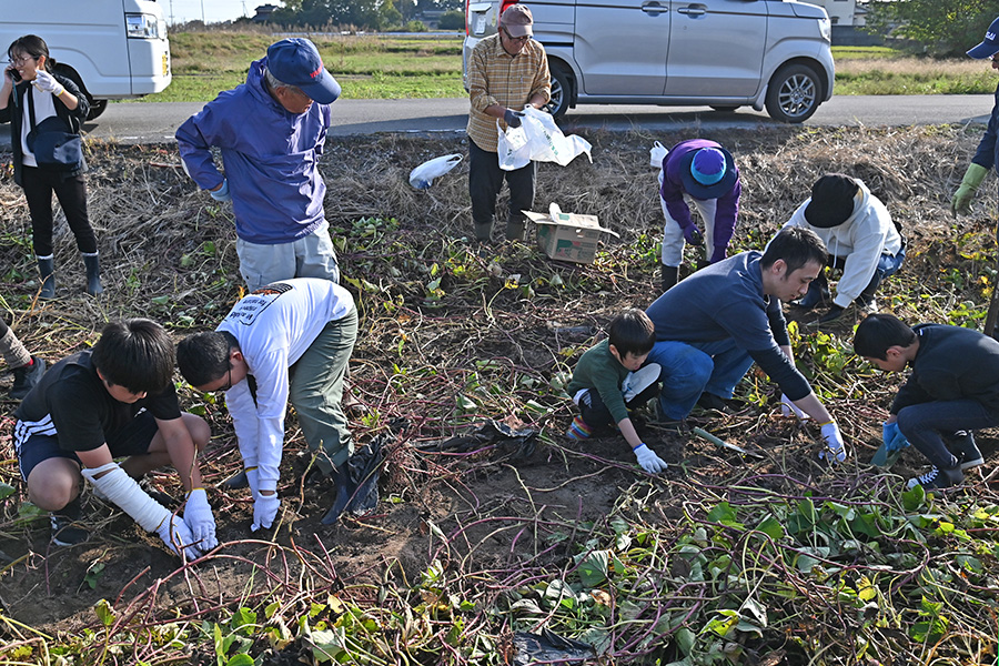 いたくらトピックス（20251108_第1行政区芋掘り）01
