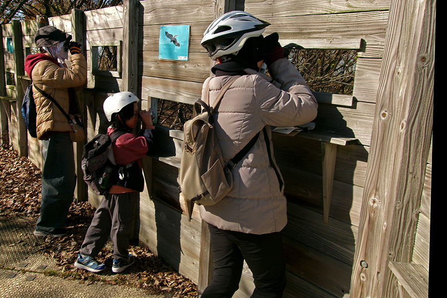 いたくらトピックス(野鳥観察会)2