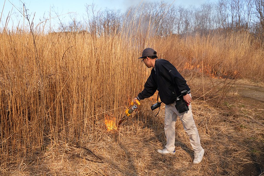 いたくらトピックス（20260314_ヨシ焼き）01