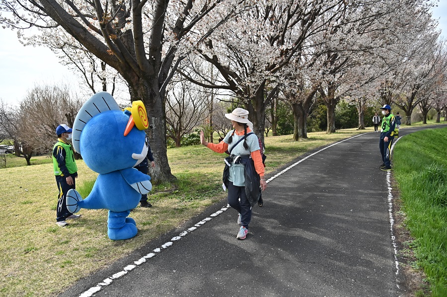 いたくらん活動記録_さくらウオーク②