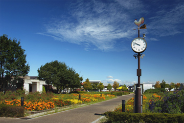 ふれあい公園の画像