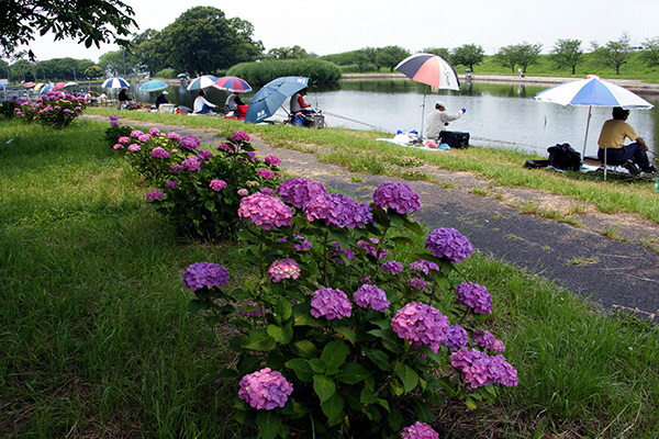 観光・イベント　群馬の水郷