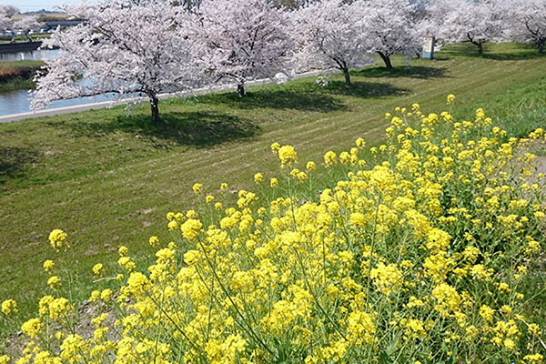 群馬の水郷3（ロケ地）