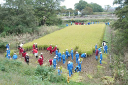 写真5 川田(堀上げ田)