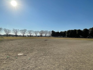 大蔵公園　ソフトボール