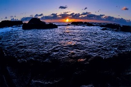の画像