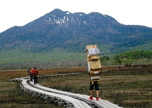 の画像
