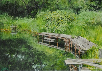 の画像